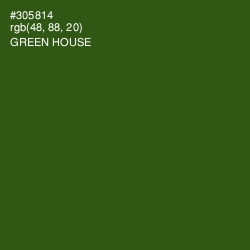 #305814 - Green House Color Image